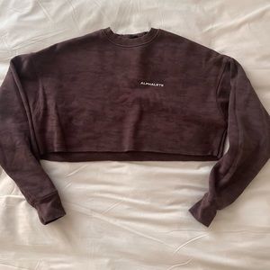 ALPHALETE CROPPED SWEATER